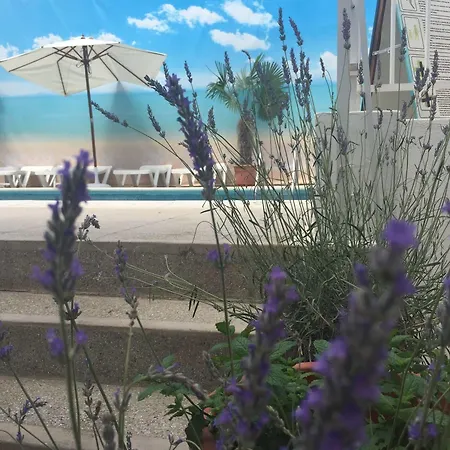 Ibiza شقة فندقية